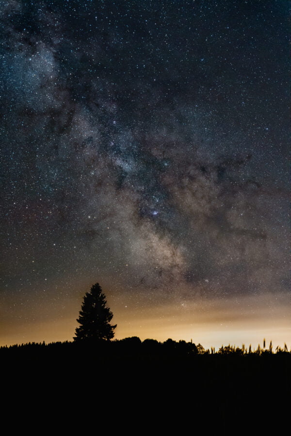 Milky way core behind dark tree